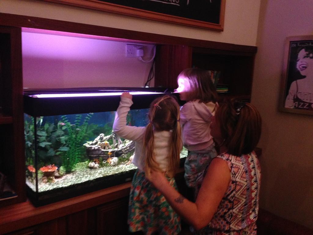 Carrick on Shannon Leitrim Marina Hotel מראה חיצוני תמונה